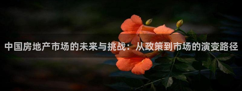 摩登7注册：中国房地产市场的未来与挑战：从政策到市场的演变路