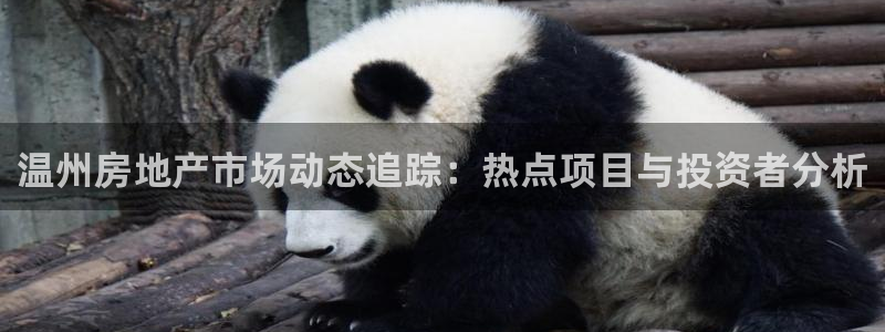 摩登7娱乐注册：温州房地产市场动态追踪：热点项目与投资者分析