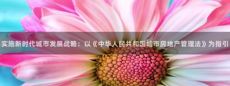 摩登7关：实施新时代城市发展战略：以《中华人民共和国城市房地