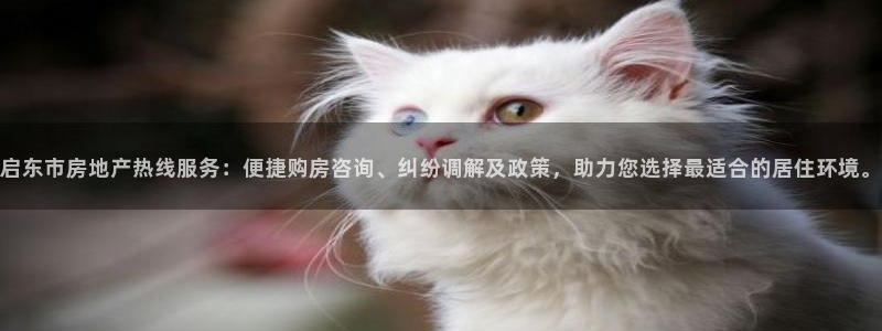 摩登5韩这7O667：启东市房地产热线服务：便捷购房咨询、纠