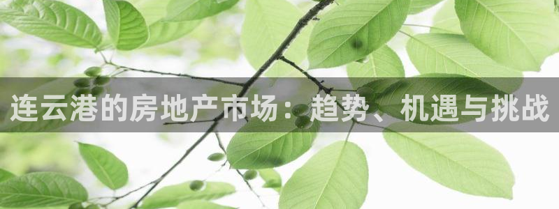 摩登7app下载：连云港的房地产市场：趋势、机遇与挑战