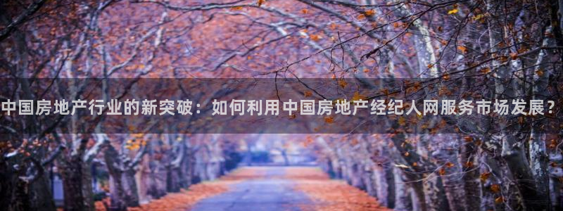 摩登7网彩正规吗：中国房地产行业的新突破：如何利用中国房地产