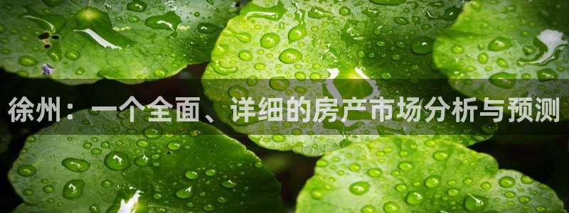 摩登招商虍金手指排名7