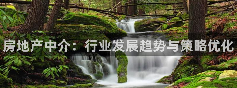 摩登7主管：房地产中介：行业发展趋势与策略优化