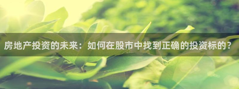 摩登7重工摩登：房地产投资的未来：如何在股市中找到正确的投资