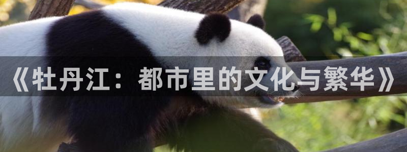 精品摩登7：《牡丹江：都市里的文化与繁华》