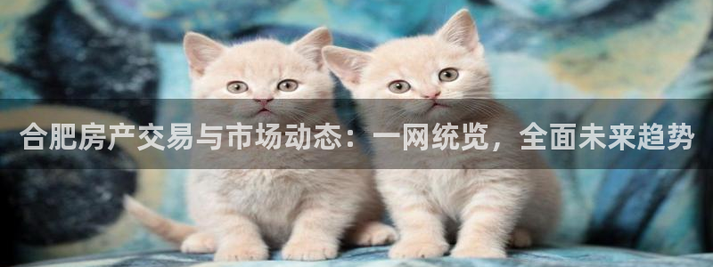 摩登招商丨金手指科捷7：合肥房产交易与市场动态：一网统览，全