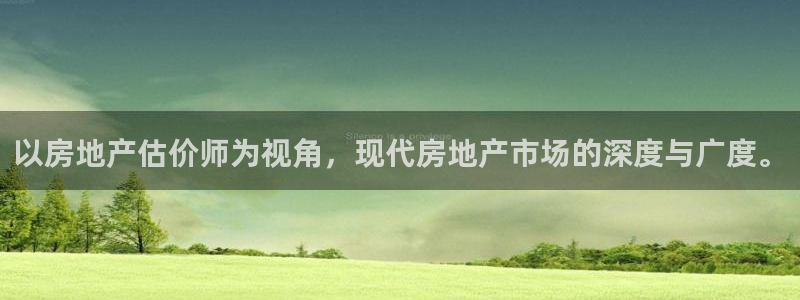 摩登7会员登录入口：以房地产估价师为视角，现代房地产市场的深