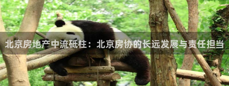 国际版摩登世界7：北京房地产中流砥柱：北京房协的长远发展与责
