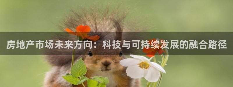 摩登7登录注册加v：房地产市场未来方向：科技与可持续发展的融