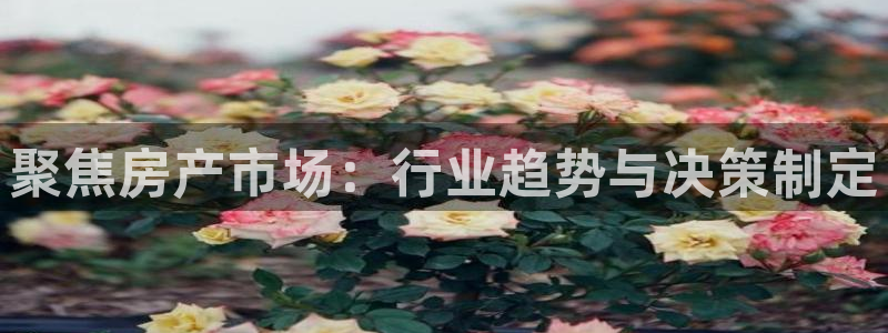 摩登5周7O667：聚焦房产市场：行业趋势与决策制定