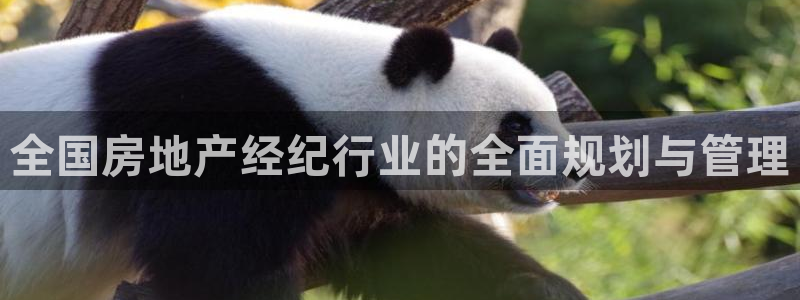 摩登7登录脱333OO：全国房地产经纪行业的全面规划与管理