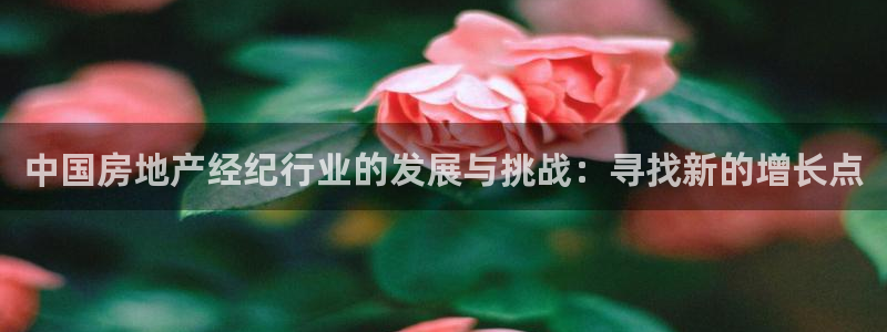 摩登7注册页面：中国房地产经纪行业的发展与挑战：寻找新的增长