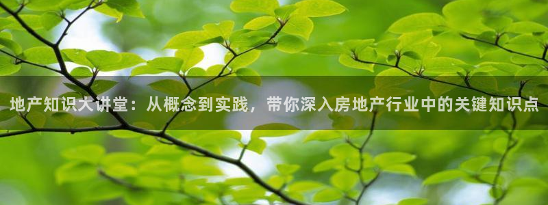 摩登7冠：地产知识大讲堂：从概念到实践，带你深入房地产行业中