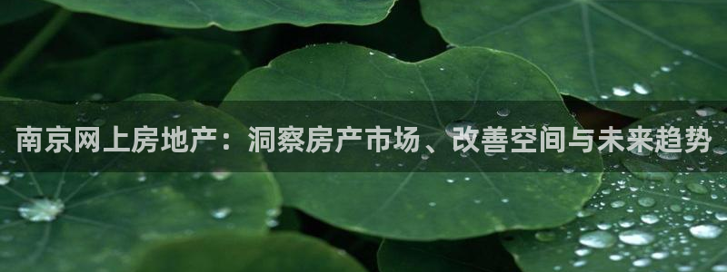 摩登7怎么登录不了了：南京网上房地产：洞察房产市场、改善空间