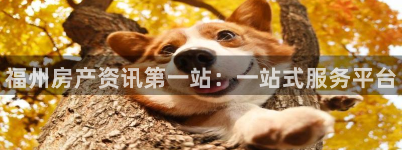 摩登7点：福州房产资讯第一站：一站式服务平台