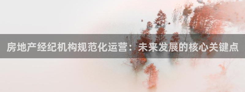摩登7代理：房地产经纪机构规范化运营：未来发展的核心关键点