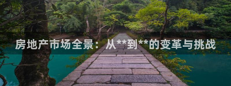 摩登7测速：房地产市场全景：从**到**的变革与挑战