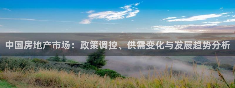 摩登6下7O667：中国房地产市场：政策调控、供需变化与发展