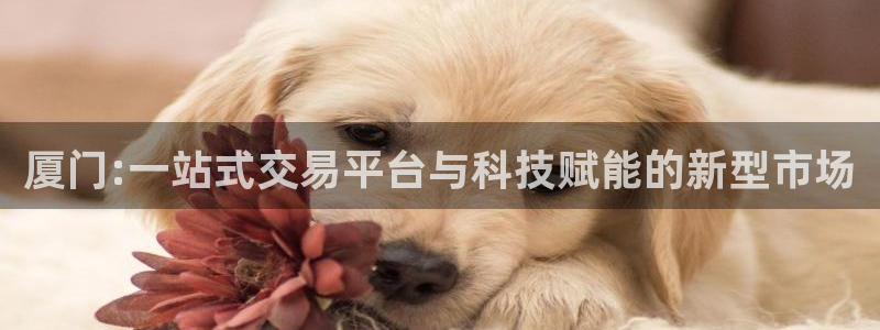 摩登6天7O667：厦门:一站式交易平台与科技赋能的新型市场
