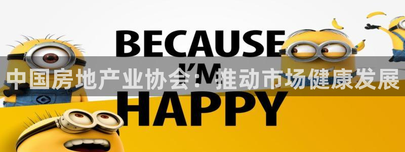 摩登7登录博333OO：中国房地产业协会：推动市场健康发展