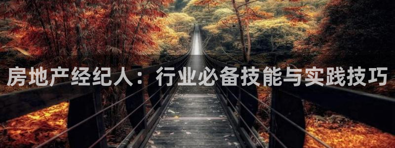 摩登7登录官网：房地产经纪人：行业必备技能与实践技巧