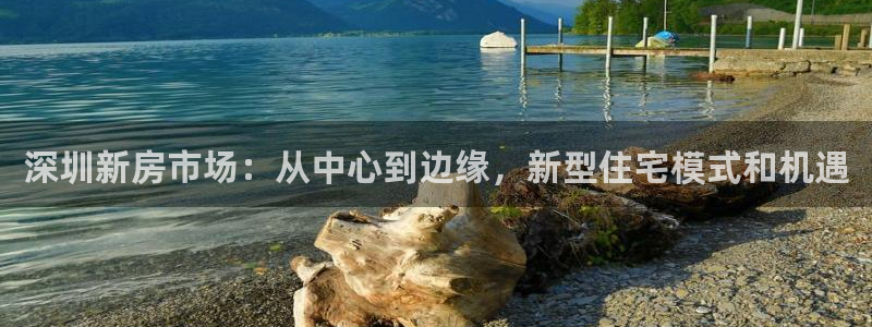 摩登招商尢首选金手指7：深圳新房市场：从中心到边缘，新型住宅