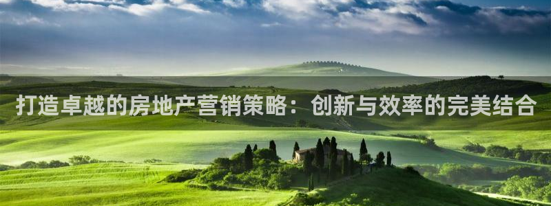 摩登7代理382223：打造卓越的房地产营销策略：创新与效率