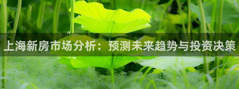 摩登7网站排名：上海新房市场分析：预测未来趋势与投资决策