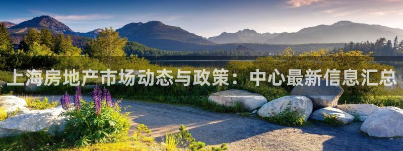摩登7平台帐7O777：上海房地产市场动态与政策：中心最新信