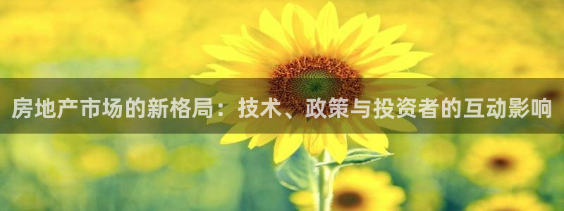 摩登7app下载：房地产市场的新格局：技术、政策与投资者的互
