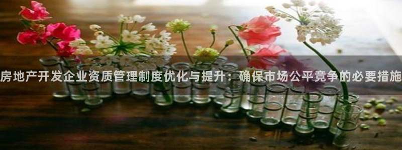 摩登6天7O667：房地产开发企业资质管理制度优化与提升：确
