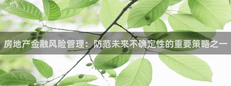 摩登7登录睡333OO：房地产金融风险管理：防范未来不确定性