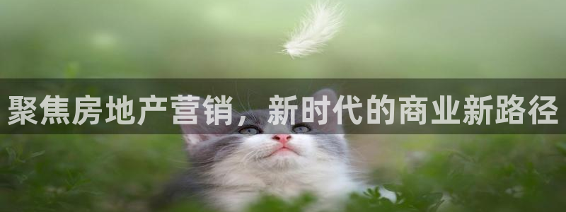lgg7摩登：聚焦房地产营销，新时代的商业新路径