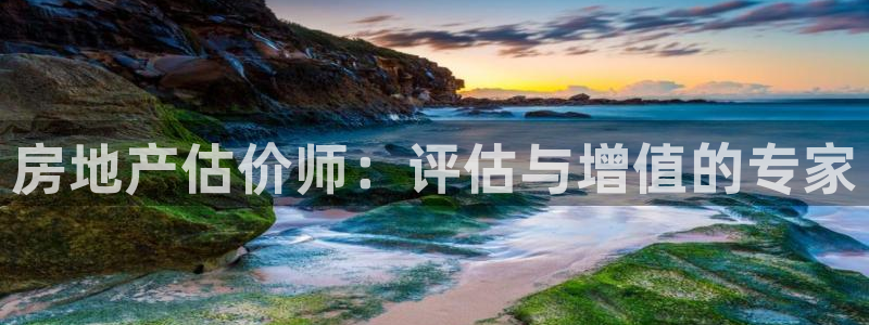 摩登7平台主管：房地产估价师：评估与增值的专家