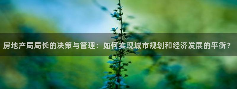 摩登2 7：房地产局局长的决策与管理：如何实现城市规划和经济
