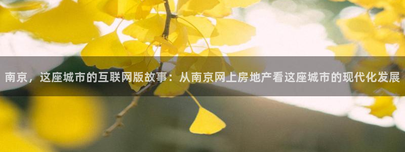 摩登5天7O667：南京，这座城市的互联网版故事：从南京网上