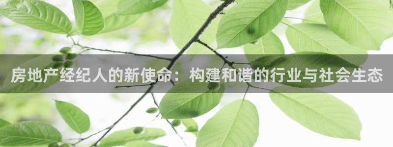 摩登7网站排名：房地产经纪人的新使命：构建和谐的行业与社会生