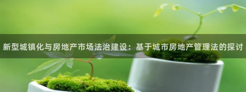 摩登3吕7O667：新型城镇化与房地产市场法治建设：基于城市