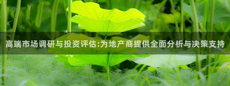 摩登7点：高端市场调研与投资评估:为地产商提供全面分析与决策