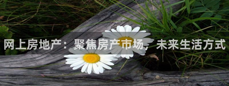 摩登5冯7O667：网上房地产：聚焦房产市场，未来生活方式