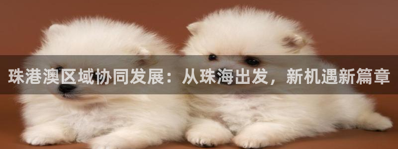 摩登7登录招333OO：珠港澳区域协同发展：从珠海出发，新机