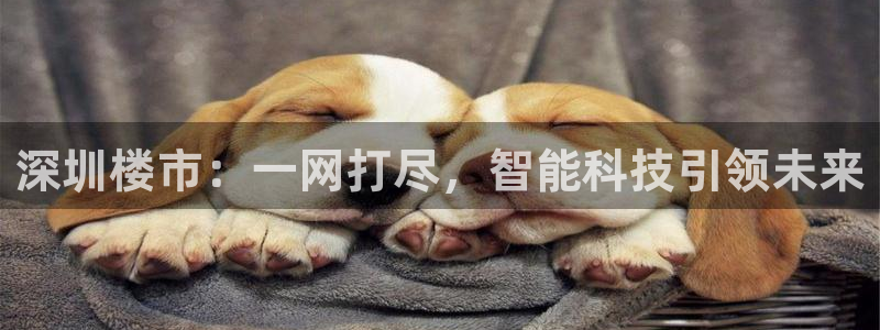 摩登3后7O667：深圳楼市：一网打尽，智能科技引领未来