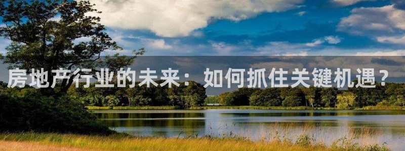 摩登7系列：房地产行业的未来：如何抓住关键机遇？