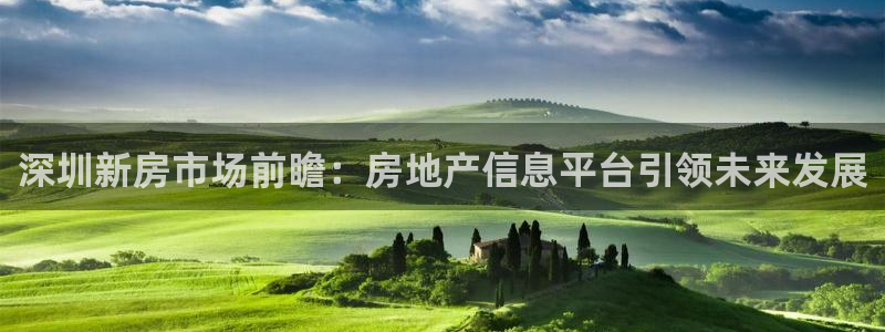 摩登7右：深圳新房市场前瞻：房地产信息平台引领未来发展