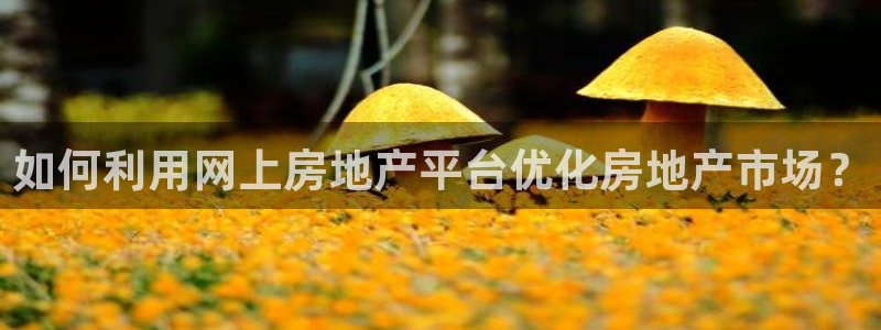 摩登7网站排名：如何利用网上房地产平台优化房地产市场？