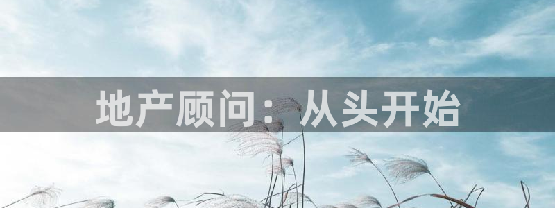 摩登6后7O667：地产顾问：从头开始