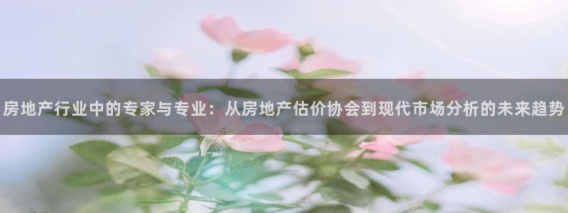 摩登7平台咱7O777：房地产行业中的专家与专业：从房地产估