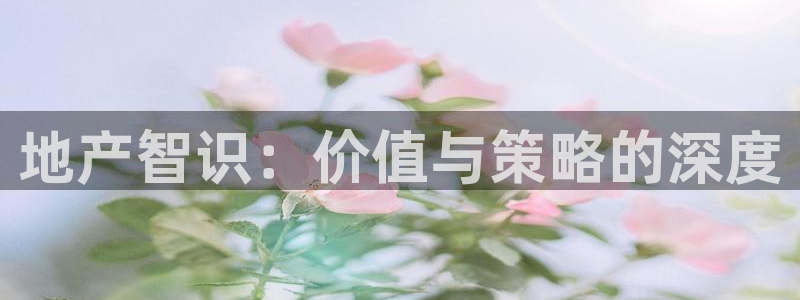 摩登3地7O667：地产智识：价值与策略的深度
