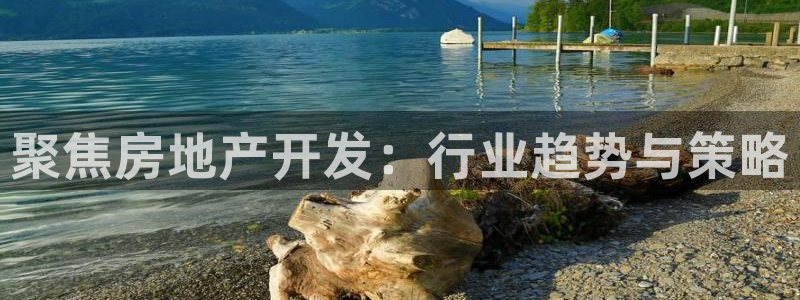 摩登3往找7O667：聚焦房地产开发：行业趋势与策略